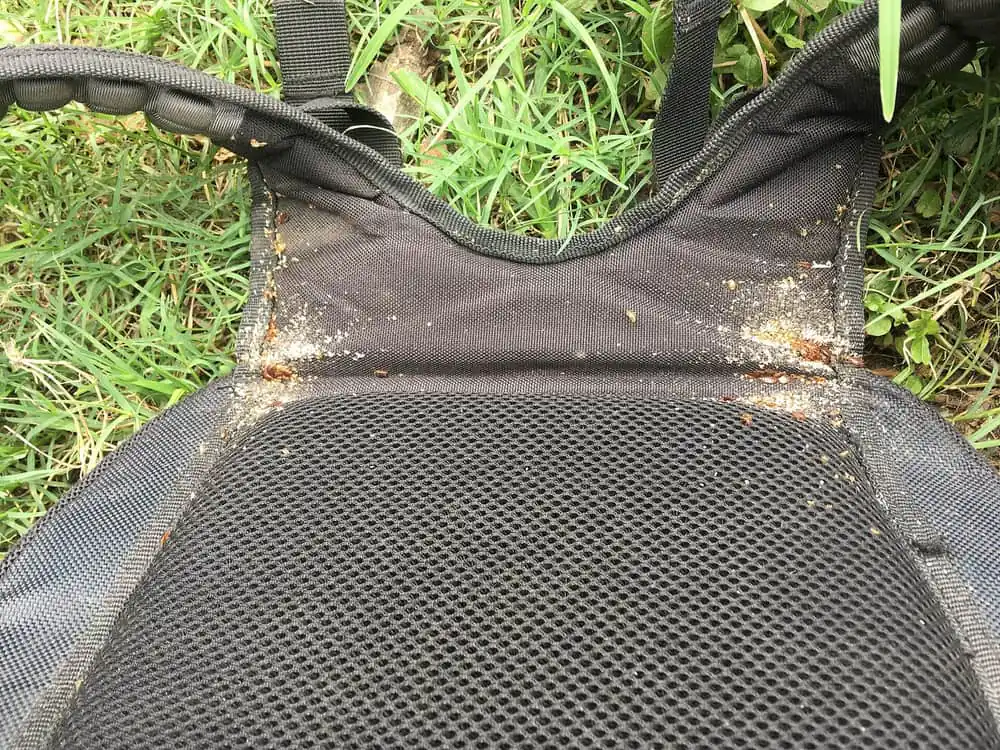 Backpack seams dotted with bed bugs, eggs and debris showing hitchhiking spread