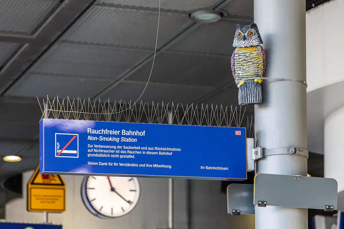Station sign lined with bird spikes and a plastic owl decoy tied to a pole