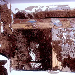 Wall framing and plaster destroyed by termites, exposing tunnels packed with soil