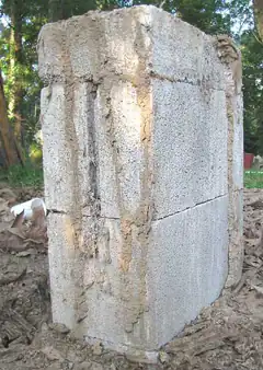 Mud shelter tubes running down a concrete foundation pier