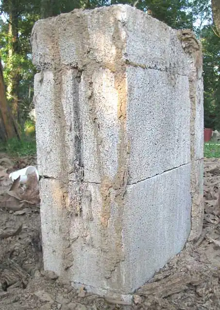 Mud shelter tubes running down a concrete foundation pier
